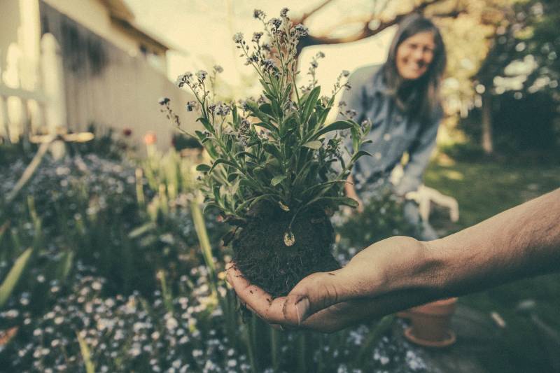 Avec Domiblue vous pouvez vous faire aider pour l'entretien de votre jardin.